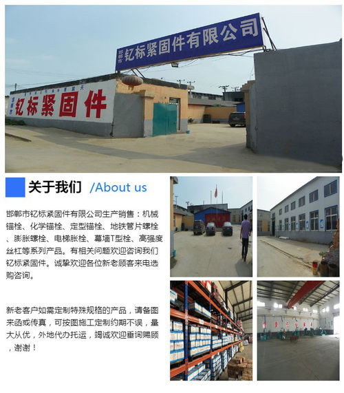 不銹鋼機(jī)械錨栓 不銹鋼機(jī)械錨栓批發(fā) 釔標(biāo)